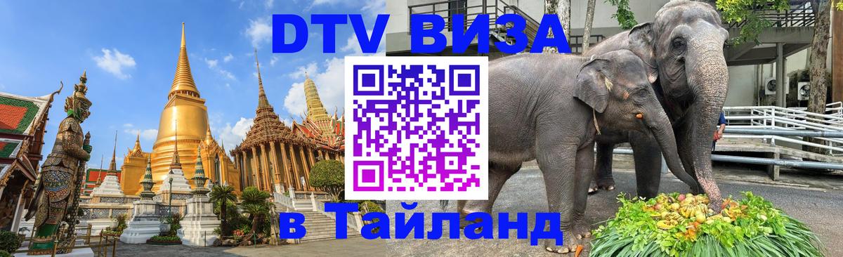 Оформление DTV визы под ключ: стоимость и тарифы, только загранпаспорт - Веллингтон 